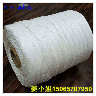 雙螺桿電纜填充繩大棚繩拉絲制繩生產設備 塑料填充繩生產線機械